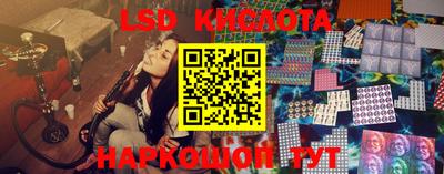 кокс Кингисепп