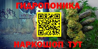 сатива Кимры