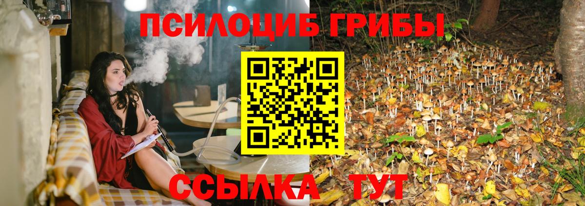 Людиново  сколько стоит  Вход с VPN  Псилоцибиновые грибы мухоморы 